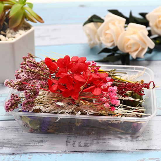 Artă populară Floare uscată Moale Vii Estetică