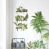 Retro Wood Frame Vase Wall Hanging Transparent Glass Vase Glass Planter Plant Vase  Office