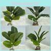 Ficus Simulated Elastica Plants Hotel Parks Artificial Landscapes Room Ornament