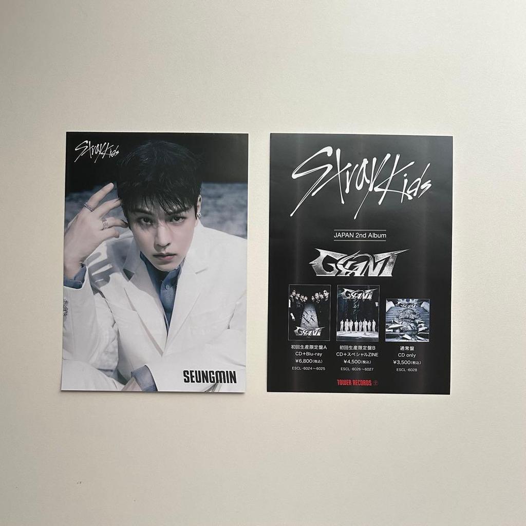 [USED] StrayKids Seungmin flyer