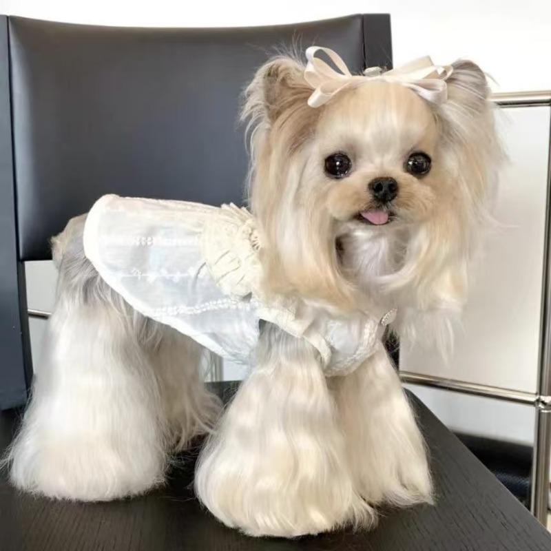 Pet dog dog out clothes cute fungus edge skirt small and medium pet Maltese than bear teddy