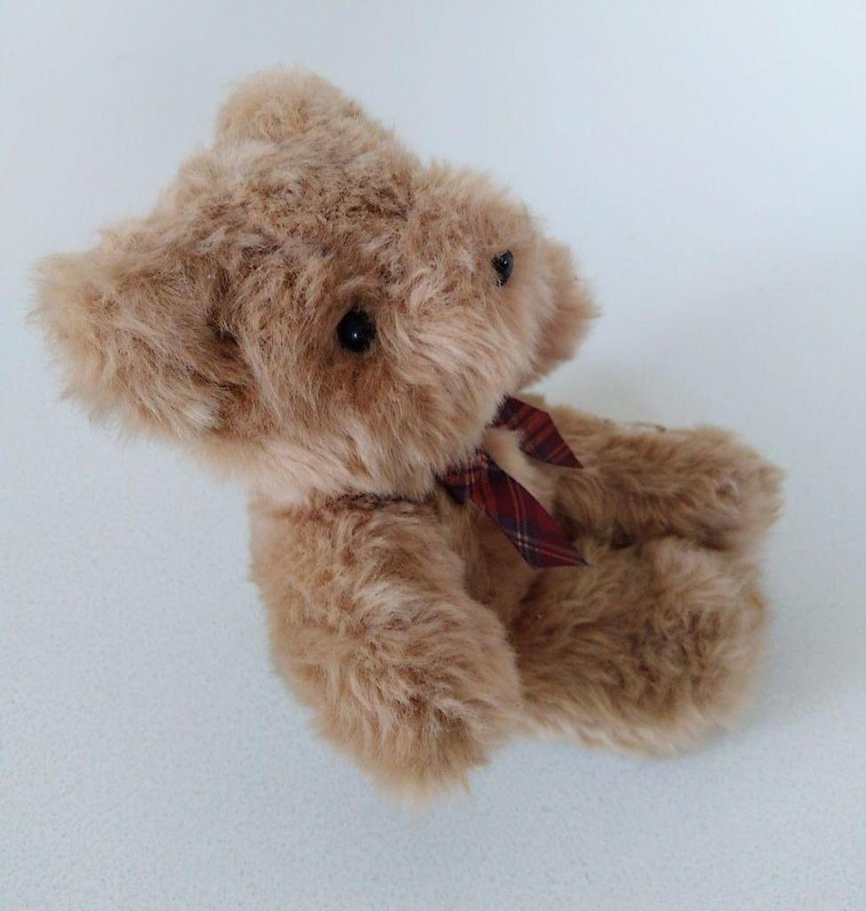 [USED] teddy bear