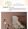 Hand-Carved Chinese Zen Ceramic Vase for Dried Flowers - Home Decor