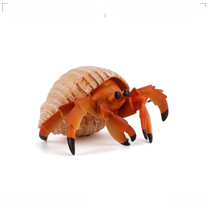 Simulation Marine Animal Pvc Hermit Crabs Sculpture For Kids Learning And Decorative Collection