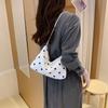Small-scale Premium Style Underarm Bag, Women's Small Crossbody Bag, Bucket Bag, Fashionable Shoulder Bag