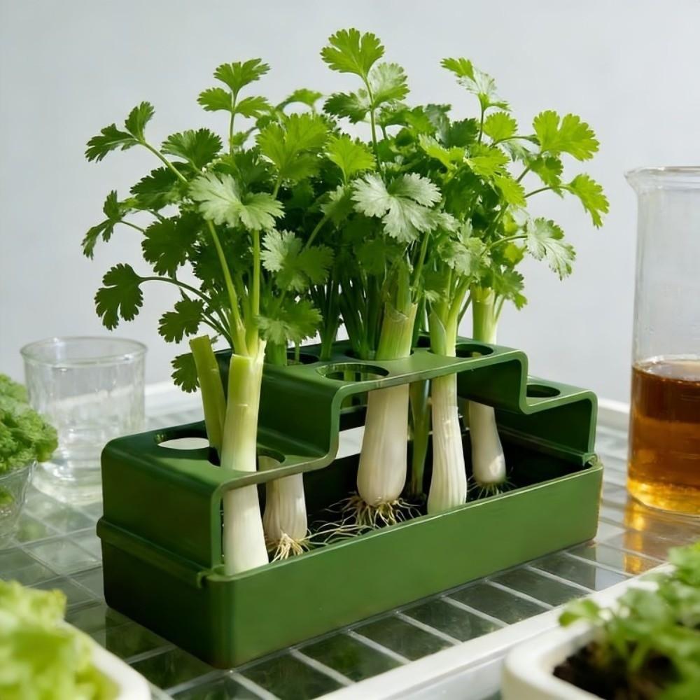 Ventilated Lettuce Planting Pot Plastic Vegetable Growing Plate  Repeated Growth