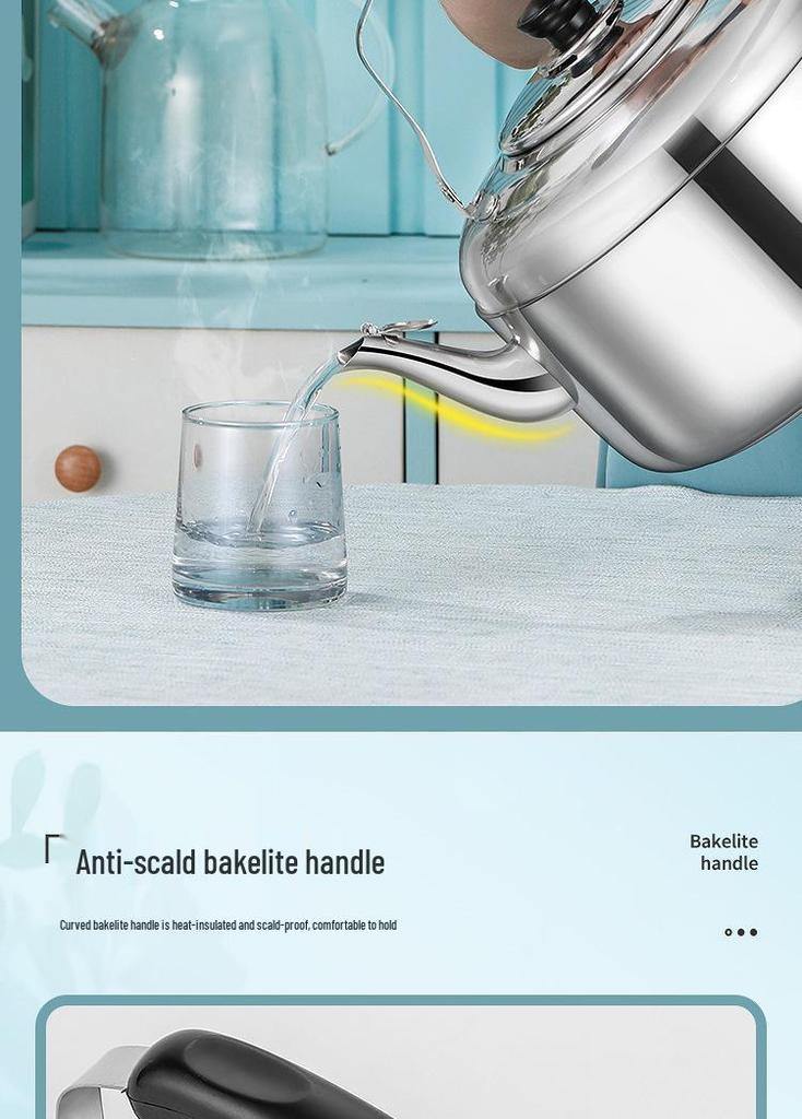 Bouilloire électrique et théière en acier inoxydable grande capacité