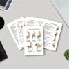 30-Day Chair Yoga Loss Spiral Notebook & Exercise Guide