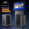 SAST All-in-One Portable KTV & Conference Audio System CN plug (adapter included)