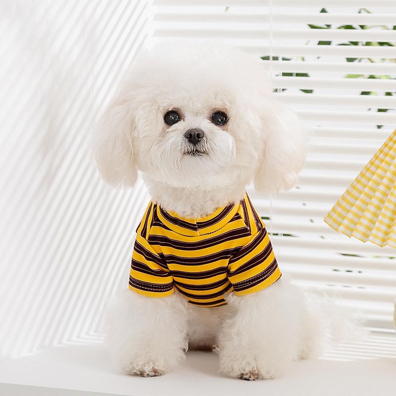 

Dog clothes spring and summer thin loungewear spring and autumn bottoming shirt teddy bear small dog cat pet clothes XXL (recommended weight 15-10kg)