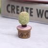 5Pcs Miniature Succulent Plant In Pot For Dollhouse Furniture Decoration Home
