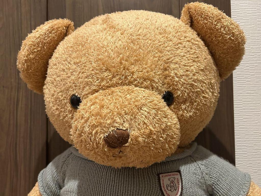 [USED] Large stuffed teddy bear, approximately 130cm