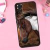 Beautiful Horse For Xiaomi Redmi Note 14 10 11 12 13 15 Pro Plus Phone Case For Redmi 15 15C 14C 12C 10C 13C