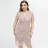 Women's Plus Size Relax Fit Shift Dress Floral Lace Scalloped V Neck Short Sleeve Midi Cocktail Party Wear Daily Work Office Occasion Outfits XL-4XL