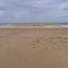 Completes Outdoor Volleyballs Courts Boundaries System Official Dimension Line Sand Anchors Included