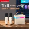 Newmine Portable Wireless KTV Speaker & Microphone System