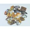 295Cts. Natural Forest Agate Fancy Cabochon Loose Gemstone 17 Pcs Lot C-1953