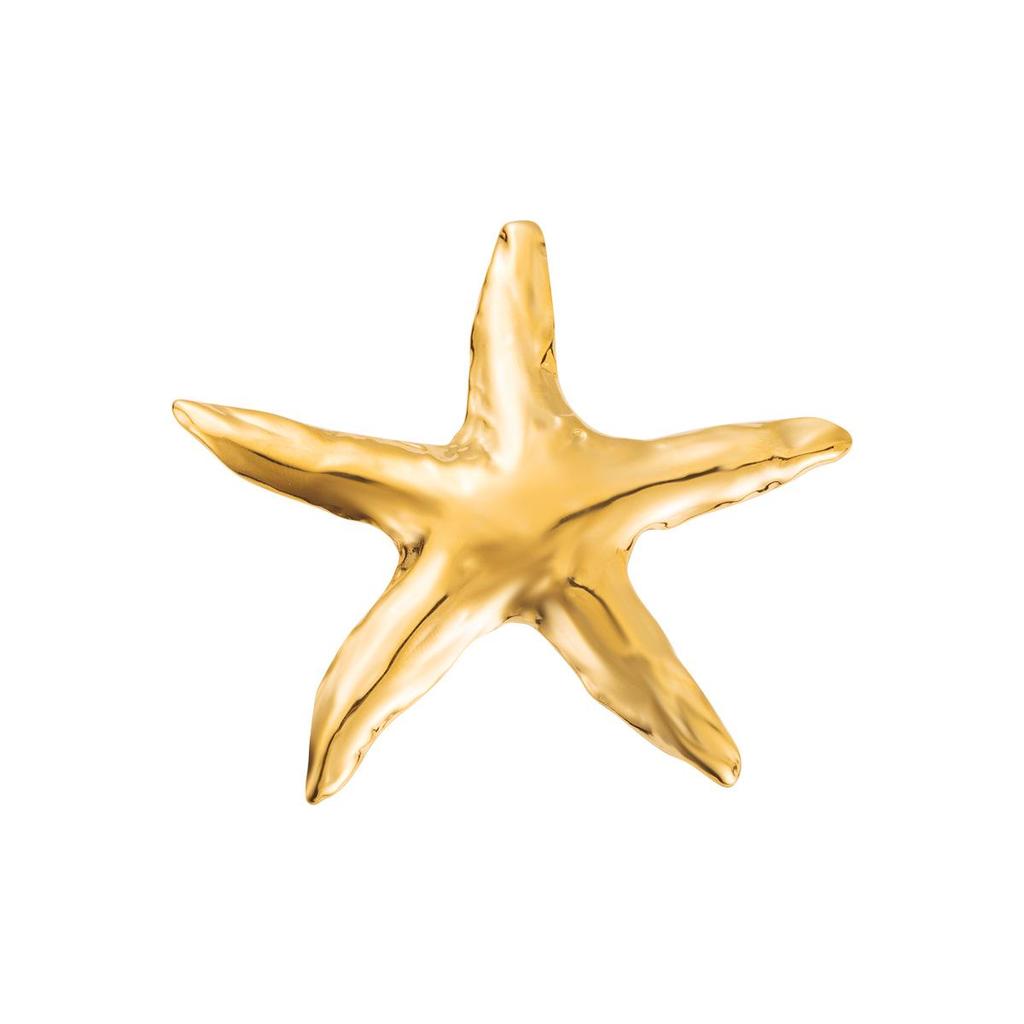 Broche Étoile de Mer Créative - Style Vacances d'Été à la Plage, Collection Océan, Accessoires en Acier Inoxydable (ZX0014)