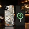 Retro Industrial Style Rusty walls Phone Case For iPhone 17,16,15,14,13,12,Plus,Pro,Max For Magnetic Wireless Charge