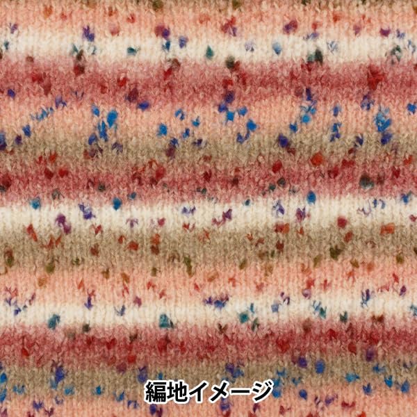 SKIYARN Yarn Color Autumn/Winter "Arcobaleno 401"