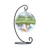 Hanging Glass Fish Tank, Living Room, Desktop Aquarium