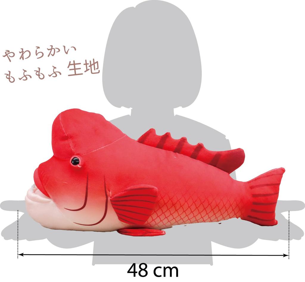 Takeoff Sea and Fish Asian Sheepshead Wrasse