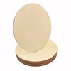 5pcs 100mm 4inch Unfinished Natural Wood Slices Craft Wood Kit Circles Crafts Christmas Ornaments DIY Crafts