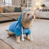 Elastic Ferret Hoodie Cozy Soft Pet Striped Sweatshirt Stylish Drawstring Thick Fleece Ferret Pullover Pet Supplies