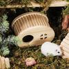 with Hiding Hole Hamster House Smooth Hamster Wooden Bridge  for Guinea Pigs Rats Small Animals