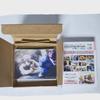 Pseka Kamishiro Louis Noble Art 59th Merchandise Proceca White Day Flower