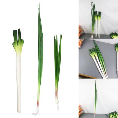 Eye Catching Simulated Garlic Sprouts/Scallions False Model Restaurant Photo Props for Restaurant Parties Photography