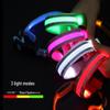 Rechargeable Luminous Dog Collar with Reflective Safety for Nighttime Walks