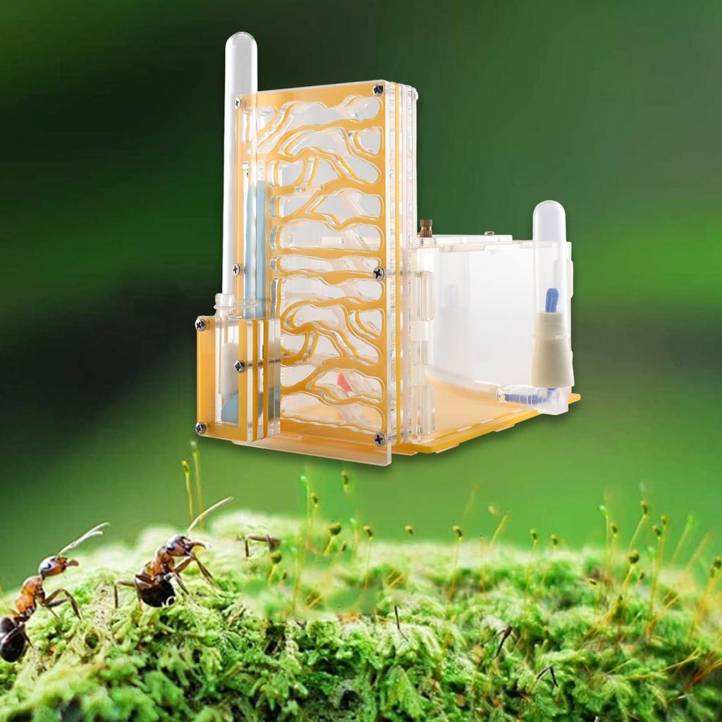 ANT Housing Nest DIY Funny Toys with Feeder Acrylic Habitat for Children's Day Lovers Decoration Tabletop Science Observation