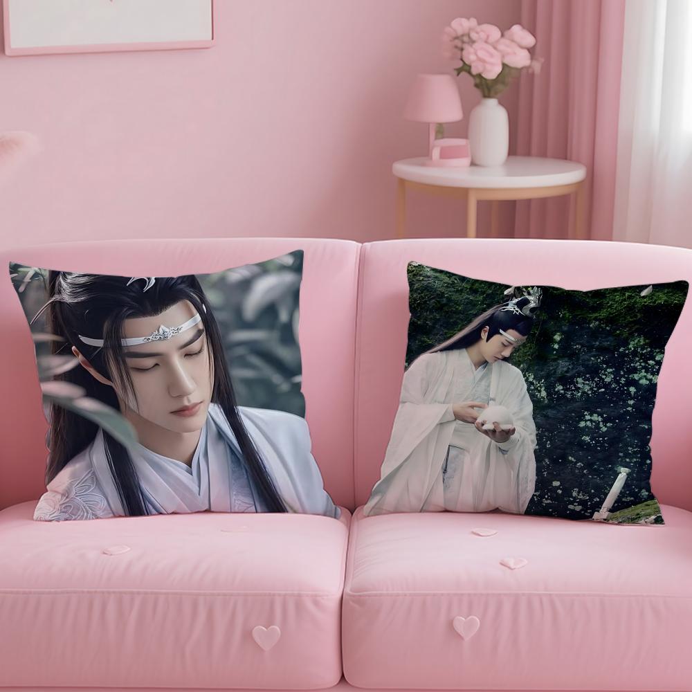 W-Wang Y-Yibo Pillow Case Soft Plush Fabric Double-Sided Printed Cushion Cover Warm Winter Sofa Pillow Case