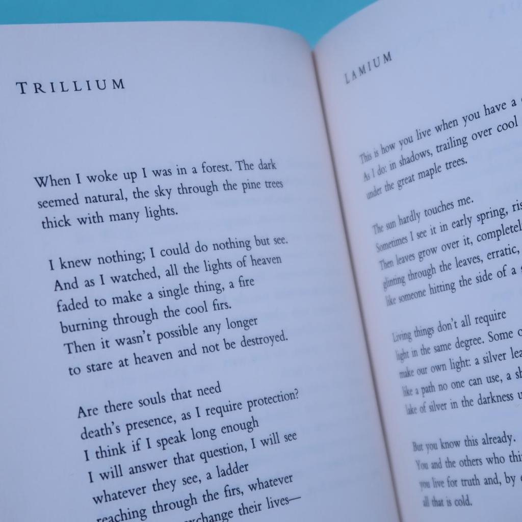 [USED] Sale! Foreign Book: The Wild Iris by Louise Glück (Poetry Collection)