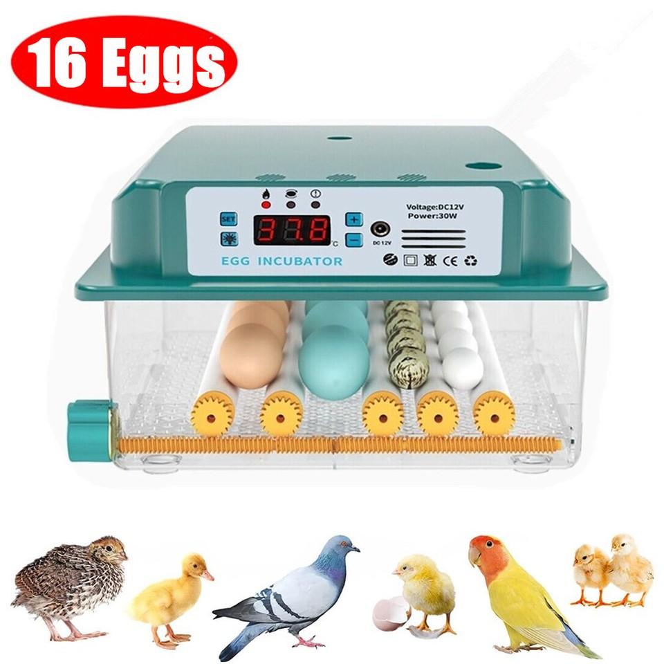 16/36 Egg Incubator Automatic Integrated Egg Candler, Temperature Control Egg Hatcher for Hatching Chicken Duck Quail Eggs