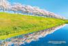 Puzzle a hlavolamy – Puzzle