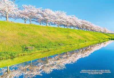 Süße in 300-Teile-Puzzle Japanische Städte 91 Ono Präfektur Hyogo Sakura Tsutsumi Korridor Kirschblüte mit Kleber und Schwamm [Hergestellt in Japan] Stadt, "Ono