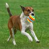 High Elastic Dog Elastic Ball Toy Colorful Dog Tooth Cleaning Toy Pet Chewing Toy  Training