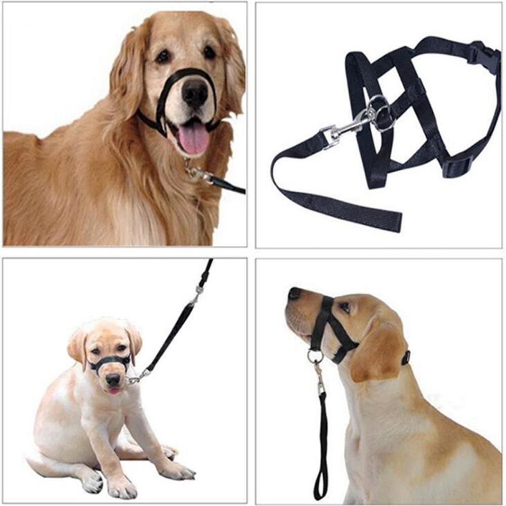 Dogs Prevent from Biting Bite Bark Controller Dog Collar Dog Mouth Cover Harness Pet Muzzle