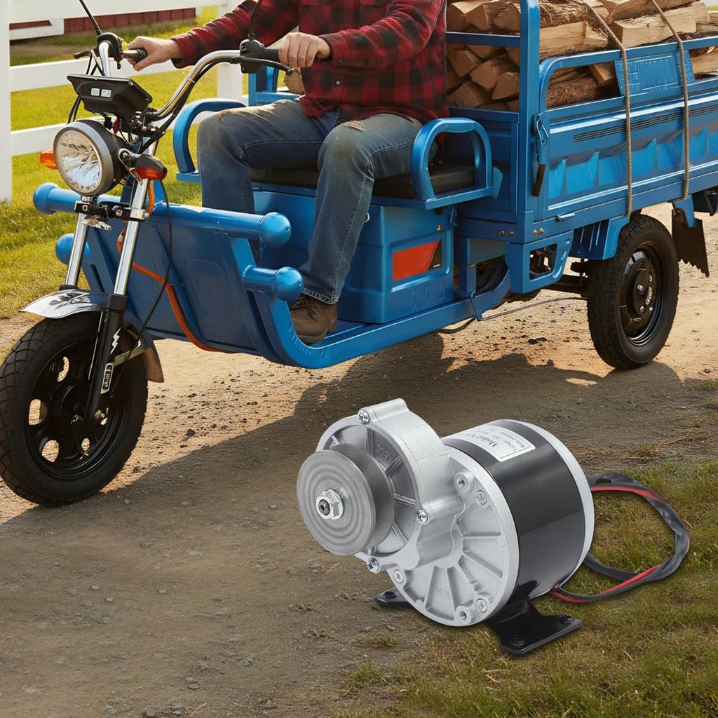 Getriebemotor, 24V 250W Elektrisches Dreirad Gleichstrom-Getriebebürstenmotor 2750 U/min Hohes Drehmoment Getriebeuntersetzungs-Elektromotor