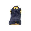 Air Jordan 12 Retro 'Michigan' (Unisex) college navy / amarillo Vintage Basketball Shoes BQ3180 407