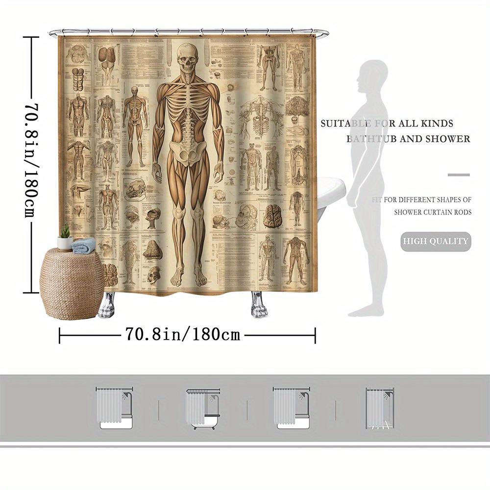 Vintage Anatomische Studie Duschvorhang Menschlicher Körper Skelett Diagramm Wissenschaftlicher Druck Polyester Badezimmer Dekor Neuheit Heimkunst