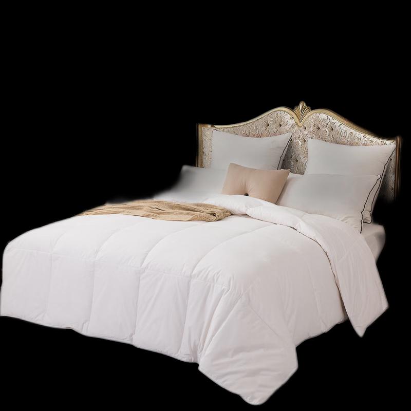 Conch Cloud Dream Winter Polyester Duvet Insert