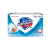Safeguard Sea Salt Soap Bars with Paper Handkerchiefs