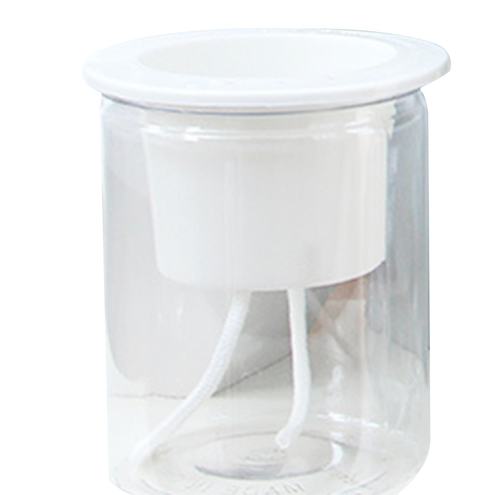 

Mini Round Succulent Plant Pot Spherical Transparent Pet Flower Pot for Spider Plant Herbs Aloe Peace Lily