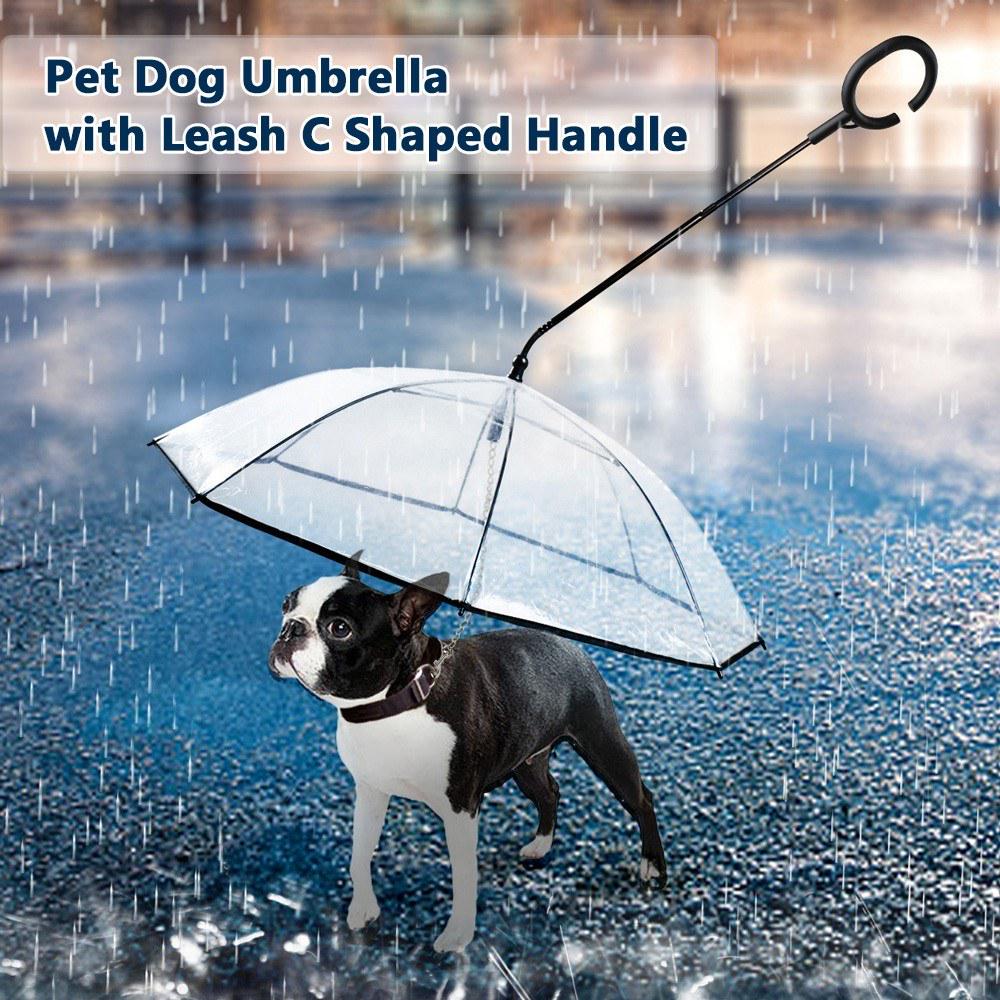 puppy umbrella