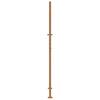 Garden Gate 100x200 Cm Corten Steel Light Design