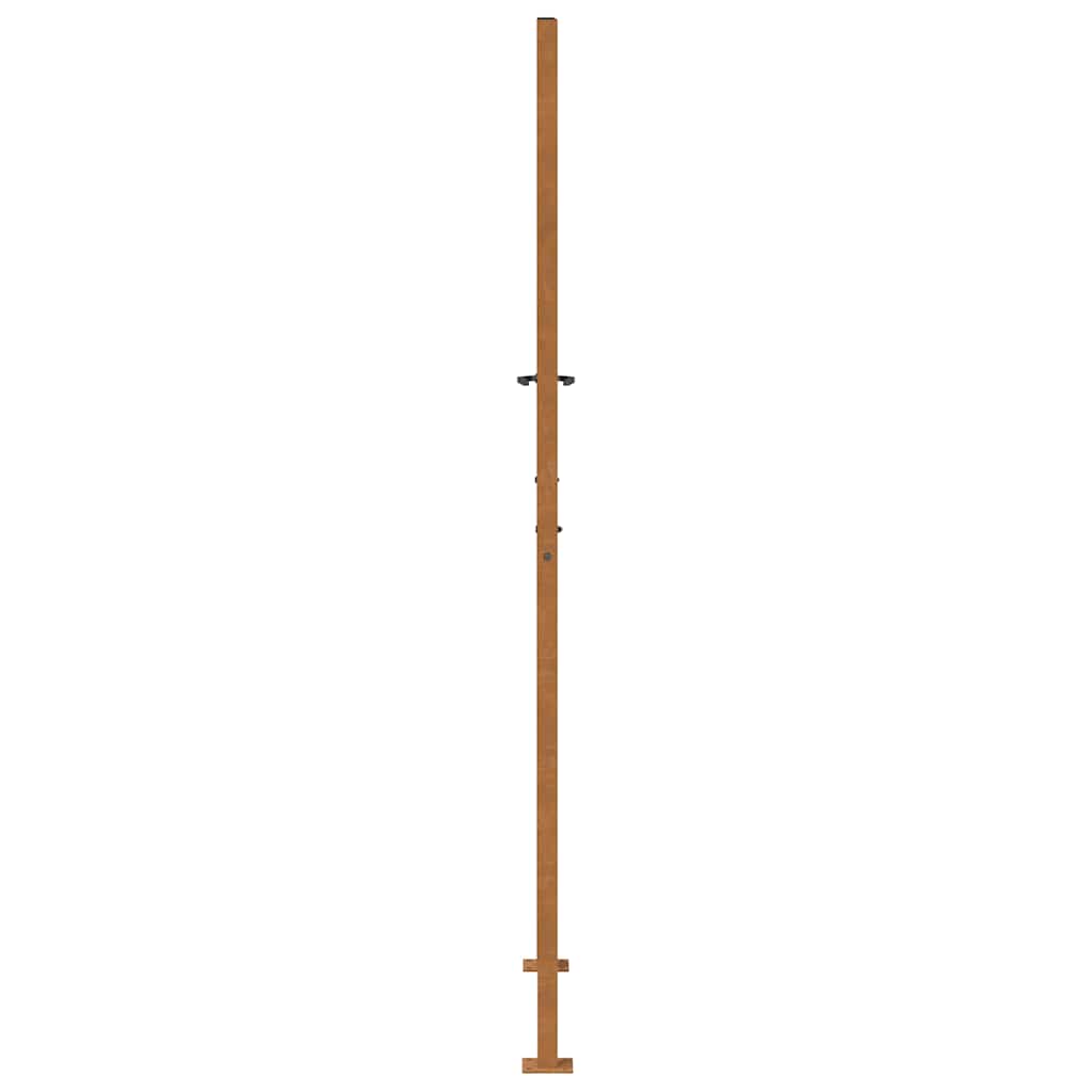 Garden Gate 100x200 Cm Corten Steel Light Design