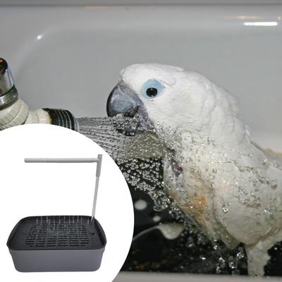 Cadă de baie automată pentru păsări, duș cu apă curgătoare pentru papagalul gri african